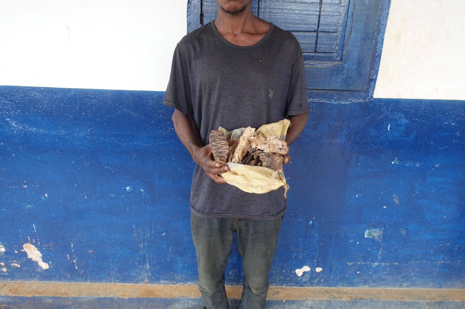 UN INDIVIDU DEVANT LA JUSTICE A SIBITI POUR LA DETENTION DES TROPHEES D’ELEPHANT