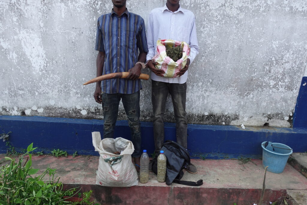 DEUX INDIVIDUS ARRETES AVEC DU CHANVRE INDIEN ET UNE POINTE D’IVOIRE A OWANDO