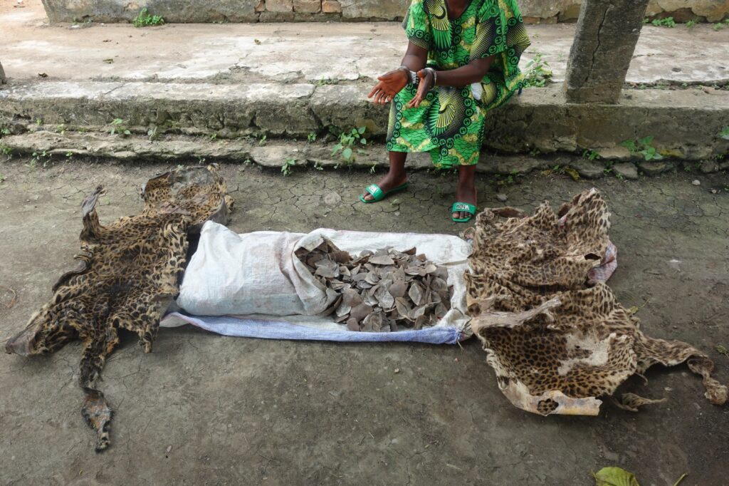 UNE DAME PRIS POUR TRAFIC DE PEAU DE PANTHERE ET D’ECAILLES DE PANGOLIN GEANT A IMPFONDO