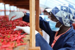 ZERO DROIT DE DOUANE : LA CHINE ET L’AFRIQUE VERS UNE PROXIMITE SANS PRECEDENT