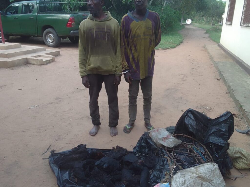 DEUX PRESUMES BRACONNIERS TRADUITS EN JUSTICE A BRAZZAVILLE.