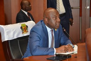 CONGO/HYDROCARBURES: LE SÉNAT VALIDE QUATRE AVENANTS POUR DONNER UN NOUVEL ÉLAN AUX INVESTISSEMENTS