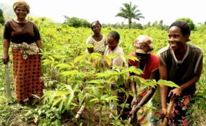AFRIQUE CENTRALE / ZLECAF : IMPLIQUER LES FEMMES DANS L’APPROPRIATION DE L’INITIATIVE AFRIQUE CENTRALE / ZLECAF : IMPLIQUER LES FEMMES DANS L’APPROPRIATION DE L’INITIATIVE