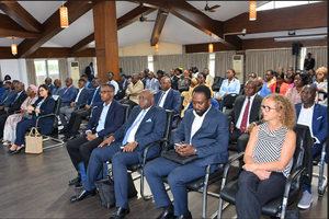 CONGO/CDN 3.0 : LE DÉFI DE LA CONVERSION DU CAPITAL NATUREL EN INVESTISSEMENTS CLIMATIQUES CONGO/CDN 3.0 : LE DÉFI DE LA CONVERSION DU CAPITAL NATUREL EN INVESTISSEMENTS CLIMATIQUES